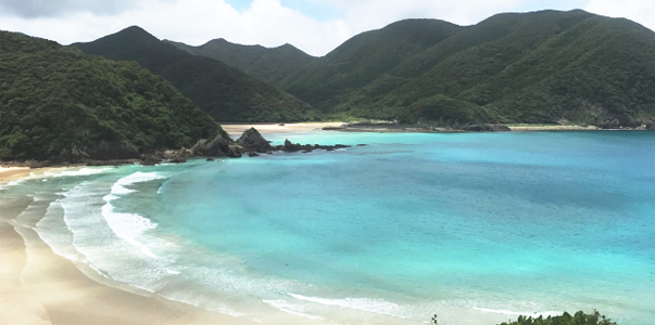 高浜海水浴場の画像