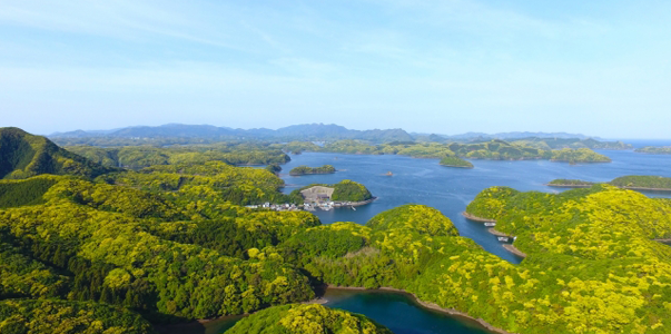 浅茅湾の画像